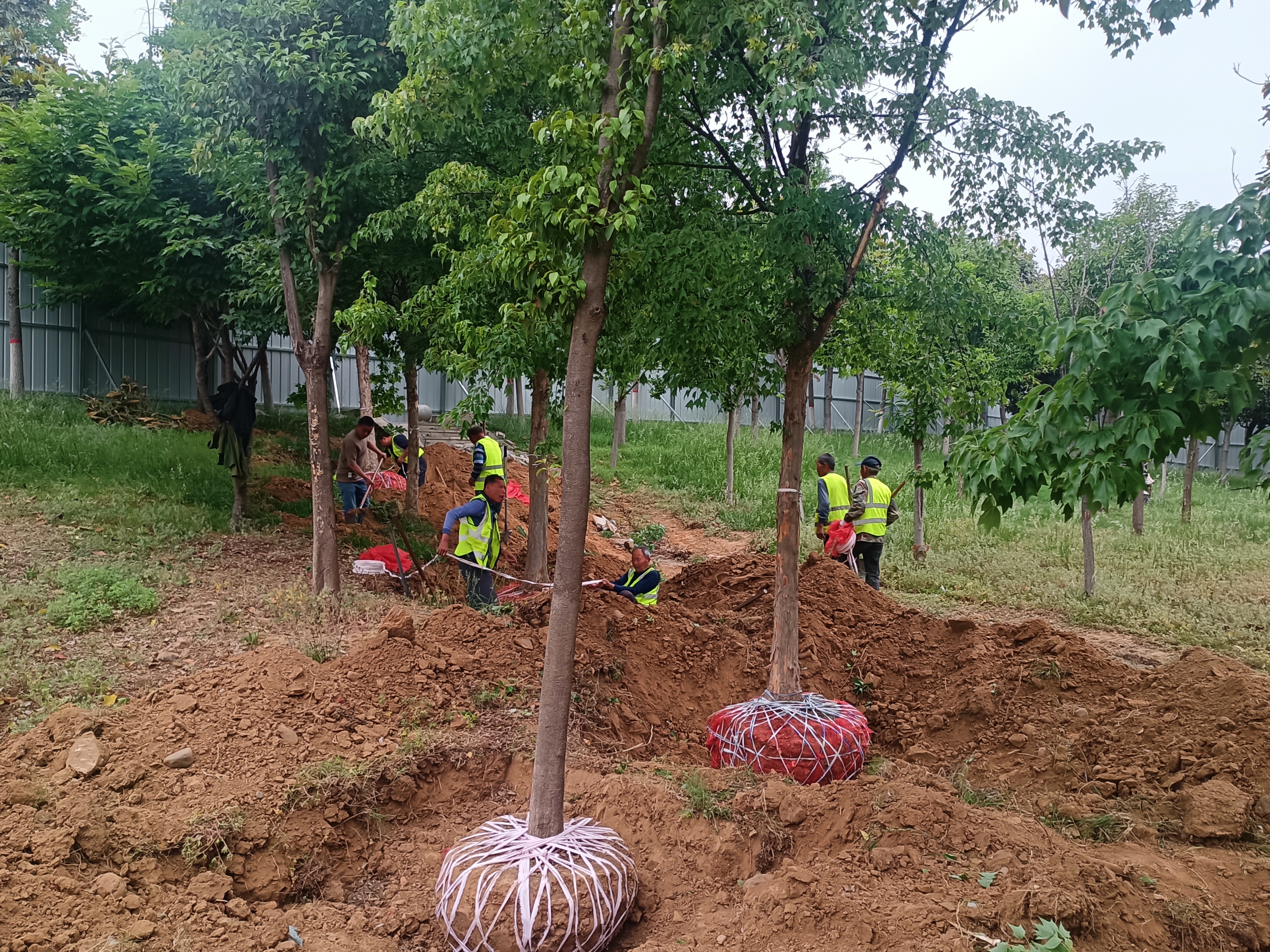 微信圖片_20240511175531.jpg 微信圖片_20240511175531.jpg